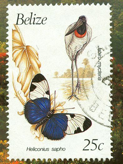 postal stamps