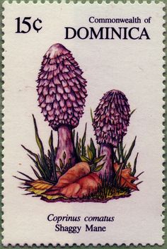 postal stamps