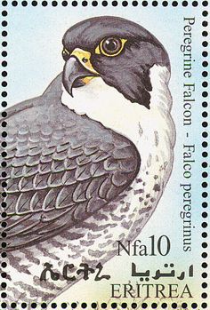 postal stamps