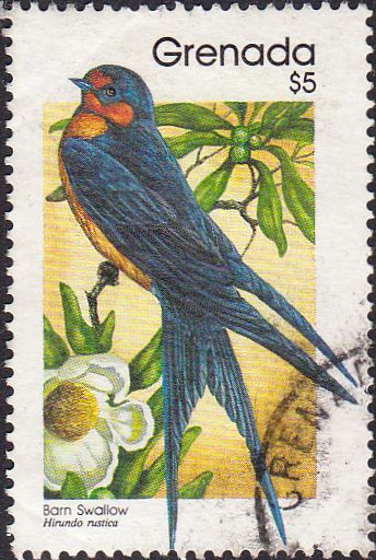 postal stamps