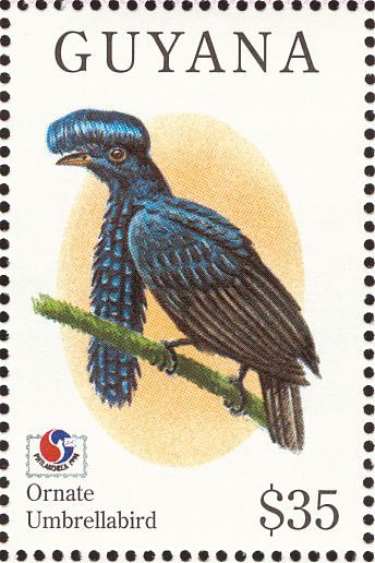 postal stamps