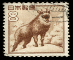 postal stamps