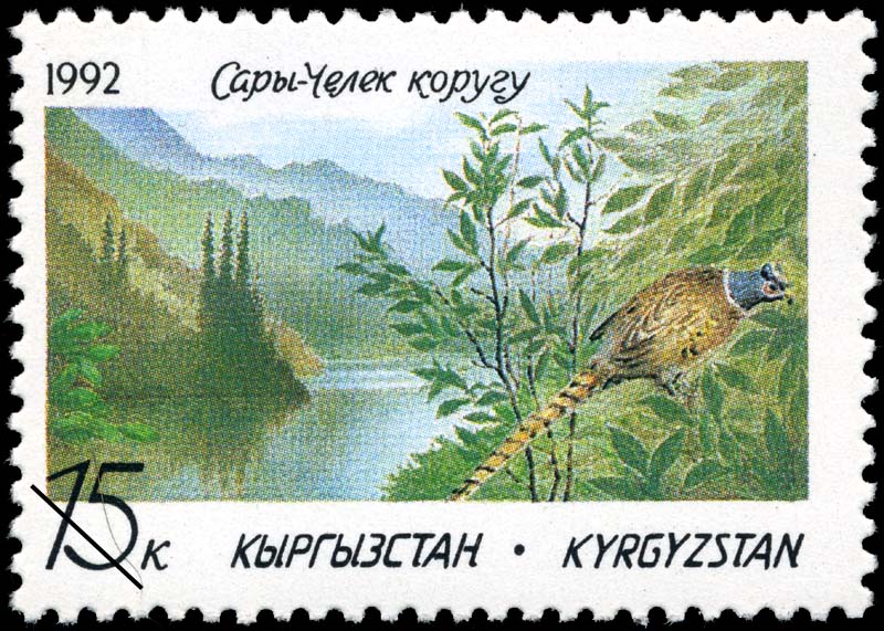 postal stamps