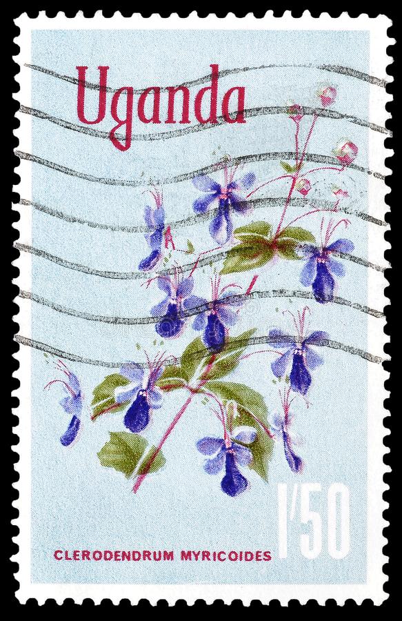 postal stamps